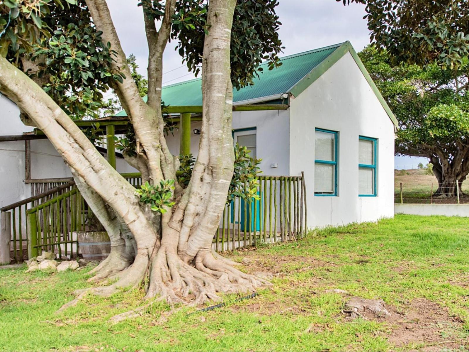 Ferienwohnung Wiggins Self Catering Jacobs Bay Exterior foto
